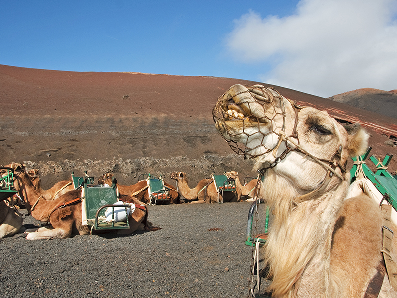 Timanfaya National Park